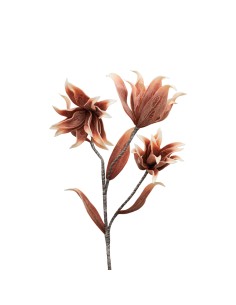 Fiore decorativo Stella Alpina in schiuma EVA rosa e grigio, H 103 cm | Henriette -HENRIETTE