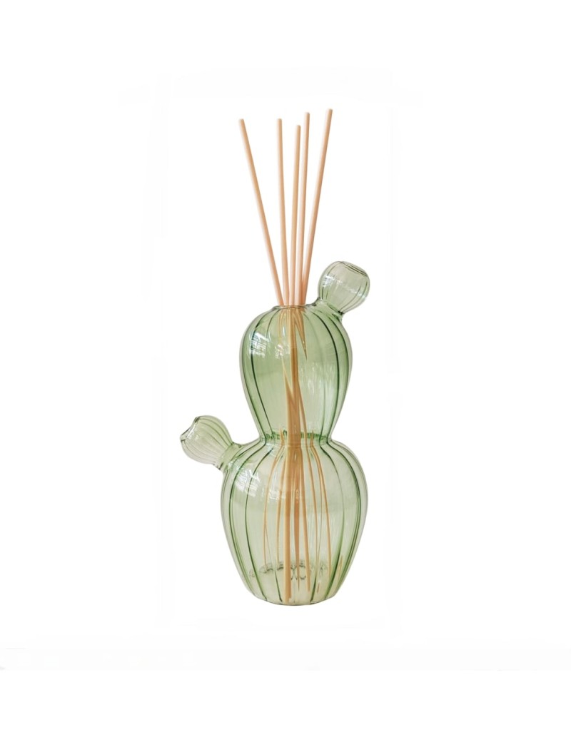 Diffusore di fragranza Cactus in vetro verde con bastoncini, collezione Ekol | Brandani -BRANDANI