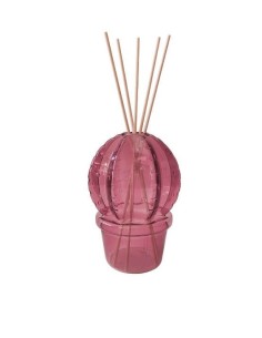 Ekol diffusore di fragranza Cactus in vetro viola | Brandani -BRANDANI