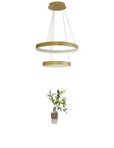 Lampada a sospensione LED a 2 anelli oro 70 W con switch 3000/4000/6000 K | Top Light -TOP LIGHT