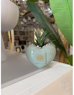 Vaso a cuore in ceramica verde salvia con piantina grassa vera, H 8 cm | Naturalmente -NATURALMENTE