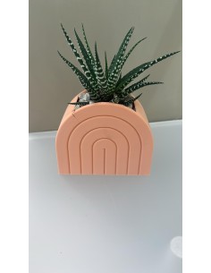 Vaso Arcobaleno in ceramica arancione pastello con piantina grassa vera | Naturalmente -NATURALMENTE
