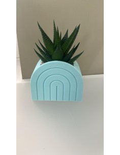 Vaso Arcobaleno in ceramica azzurro pastello con piantina grassa vera | Naturalmente -NATURALMENTE