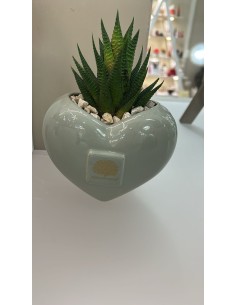 Vaso cuore in ceramica salvia H 10 cm con Haworthia limifolia vera | Naturalmente -NATURALMENTE